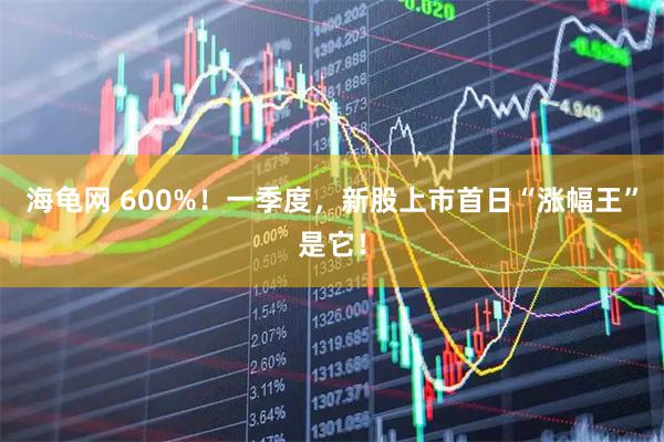 海龟网 600%！一季度，新股上市首日“涨幅王”是它！